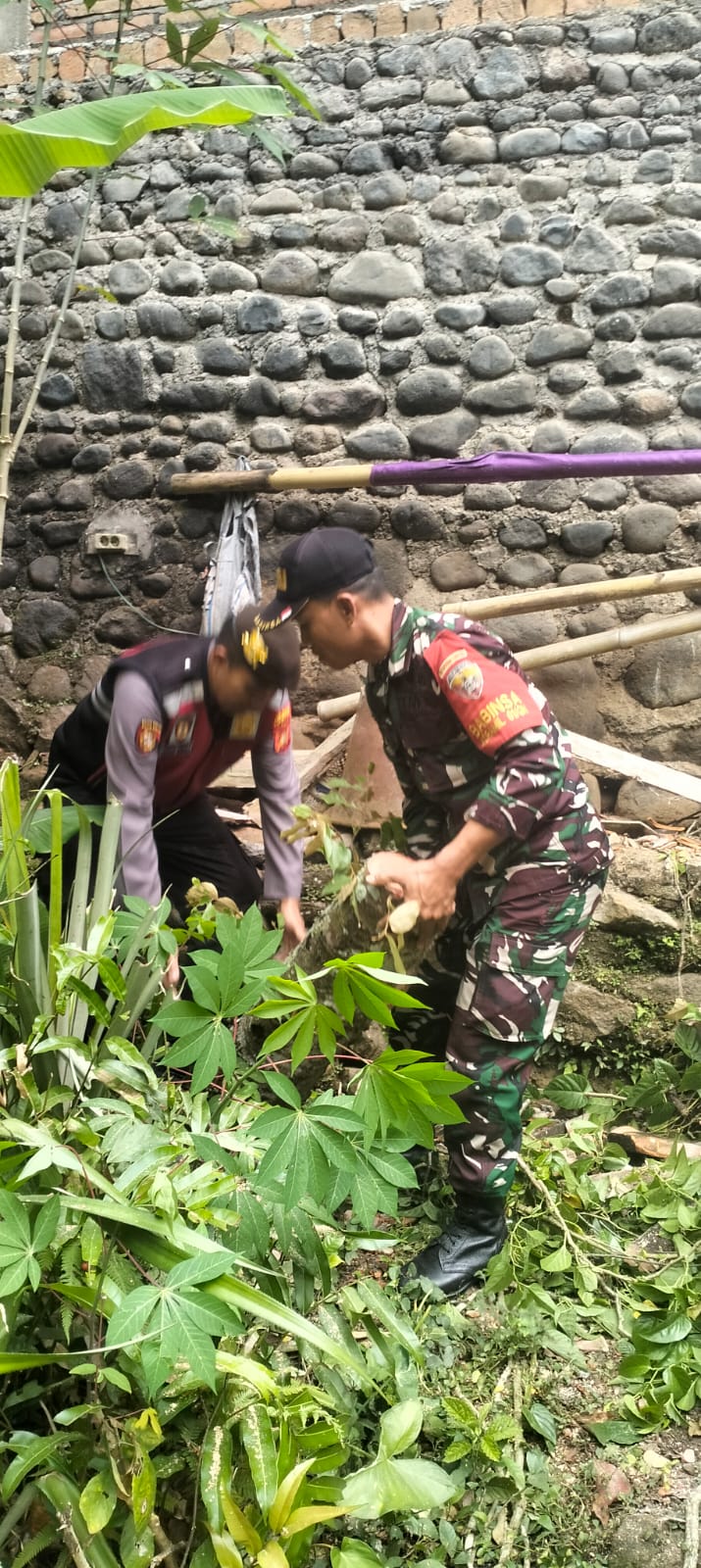Babinsa Bersama Aparat Gabungan Evakuasi Pohon Tumbang di Siangan Gianyar
