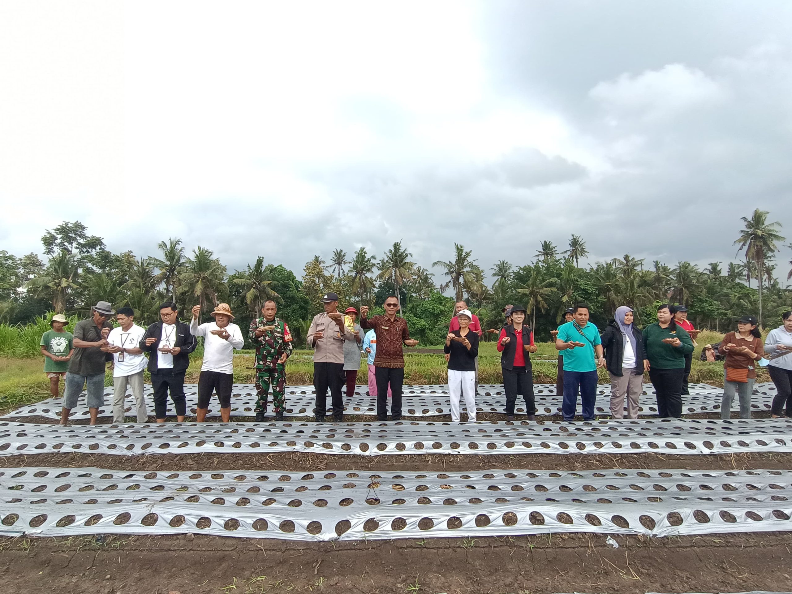Babinsa Medahan Dukung Program Pengendalian Inflasi Melalui Tanam Bawang Merah  Sinergi Babinsa, Petani, dan Dinas Pertanian Jaga Stabilitas Harga Bawang Merah  Peran Aktif Babinsa Medahan Dorong Ketahanan Pangan Lewat Penanaman Bawang Merah  Babinsa Bersama Petani Subak Celuk Wujudkan Pertanian Produktif di Blahbatuh  Dukung Kesejahteraan Petani, Babinsa Turun Langsung Tanam Bawang Merah di Lahan 2,5 Hektar  Gianyar – Blahbatuh, Selasa (16/9/2025) Dalam rangka mendukung program pemerintah di bidang pertanian, Babinsa Desa Medahan Koramil 1616-04/Blahbatuh Serda I Nyoman Sukadana bersama Bhabinkamtibmas Aiptu I Made Sudiarta, Dinas Pertanian Kabupaten Gianyar, serta masyarakat petani Subak Celuk melaksanakan kegiatan penanaman bawang merah. Kegiatan ini bertujuan untuk menjaga stabilitas stok dan harga bawang merah sebagai salah satu komoditi strategis yang berpengaruh terhadap pengendalian inflasi di Kabupaten Gianyar.  Penanaman bawang merah dilakukan di lahan seluas 2,5 hektar dengan menggunakan bibit unggul sebanyak 50 kilogram. Bibit tersebut ditanam pada lubang-lubang yang telah disiapkan oleh petani setempat, dengan harapan hasil panen nantinya dapat memenuhi kebutuhan masyarakat serta meningkatkan pendapatan para petani. Program ini juga menjadi langkah nyata dalam mendukung ketahanan pangan daerah.  Kegiatan tanam bawang merah yang dipusatkan di Subak Celuk, Desa Medahan, turut dihadiri oleh Tim Dinas Pertanian Provinsi Bali, Kabid Pertanian Kabupaten Gianyar Ir. Anak Agung Putri Ari, pejabat teknis Dinas Pertanian Kabupaten Gianyar, Koordinator BPP dan PPL Kecamatan Blahbatuh, Pekaseh Subak Celuk, serta para petani. Kehadiran seluruh unsur ini menunjukkan adanya sinergi yang kuat antara pemerintah, aparat, dan masyarakat dalam mendukung sektor pertanian.  Dalam kegiatan tersebut, Babinsa Medahan berperan aktif tidak hanya dalam mendukung kelancaran acara, tetapi juga ikut serta turun ke lahan bersama petani. Kehadiran Babinsa menjadi bentuk motivasi dan dorongan semangat bagi masyarakat, khususnya para petani Subak Celuk, agar tetap optimis dalam mengembangkan usaha pertanian yang menjadi sumber penghidupan utama.  Melalui keterlibatan berbagai pihak, diharapkan program penanaman bawang merah ini dapat berjalan sukses, memberikan hasil panen yang melimpah, serta mendukung upaya pemerintah dalam menjaga kestabilan harga kebutuhan pokok. Peran Babinsa sebagai penghubung antara pemerintah, aparat, dan masyarakat akan terus dilakukan guna memperkuat sinergi dalam mewujudkan ketahanan pangan sekaligus meningkatkan kesejahteraan warga desa binaan.  (Pendim 1616/Gianyar)